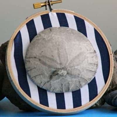 Beach Vacation Sand Dollar Keepsake