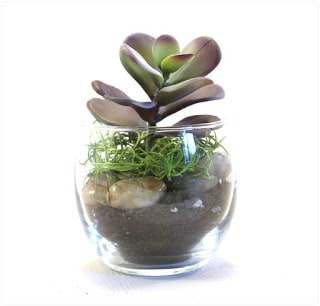 Faux Succulent Planter Main