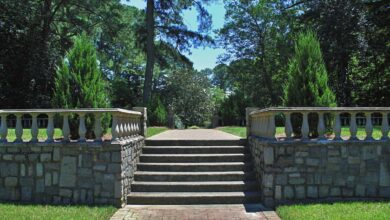 concrete stairs in a garden