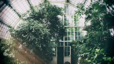 A cone shaped greenhouse garden