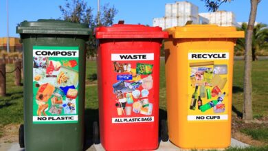 Trash bins in a park