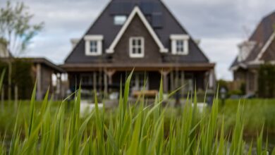 House full of grass