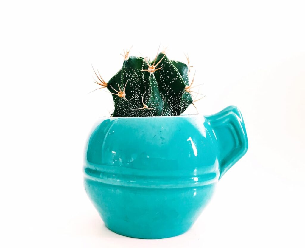 Blue Pot