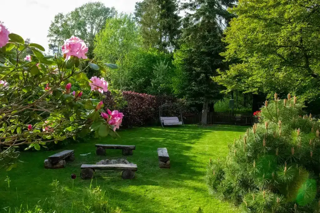 Fall Shade Garden 