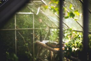 Garden Glass