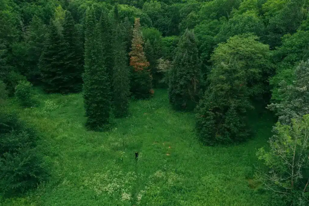 Green Plant Environment 