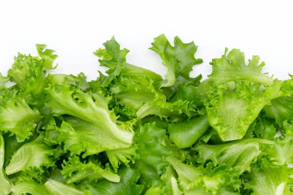 Lettuce