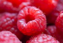 Pink berries