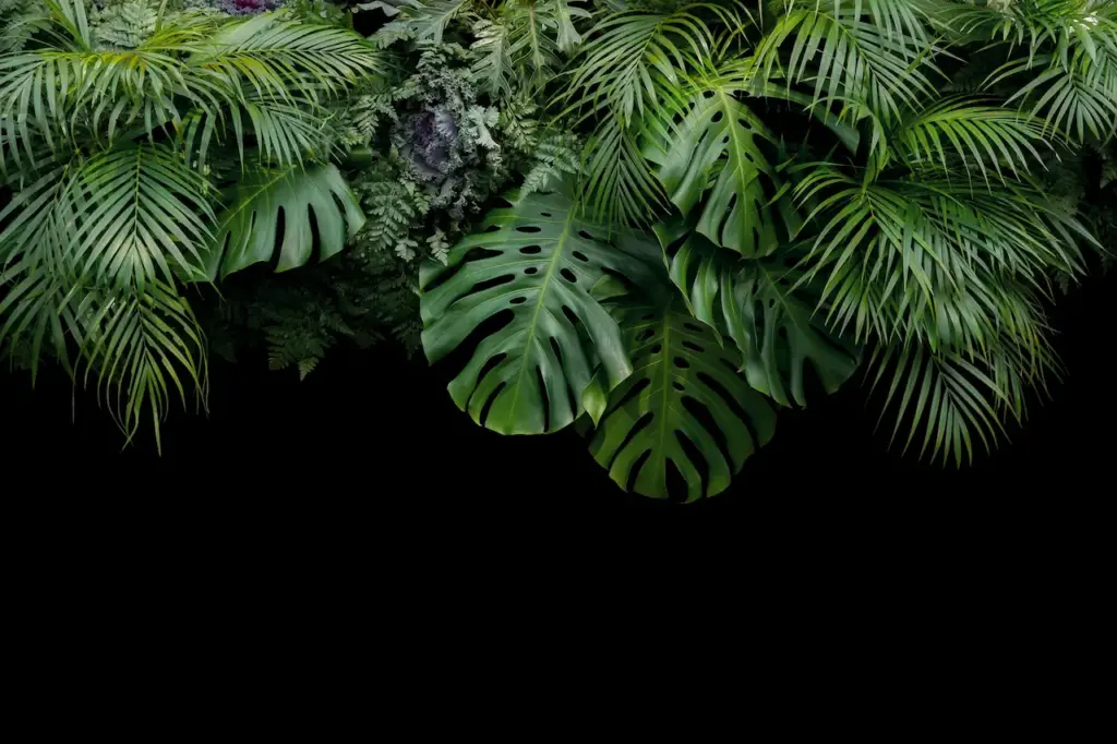 Portrait of a Foliage Color Palette Refreshing