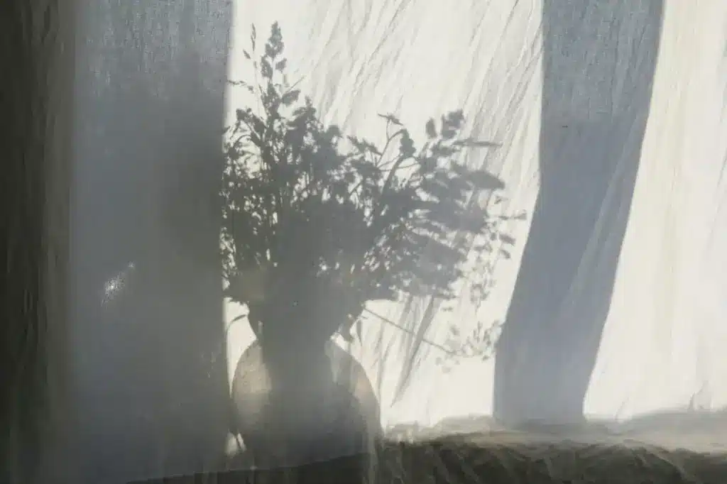 Shadows 
