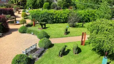 Stylish Early Fall Shade Garden