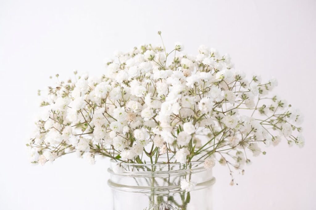  White Flowers