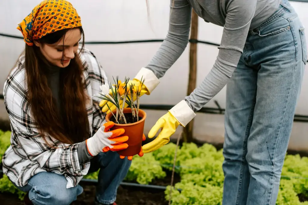 Two Ladies Gardening