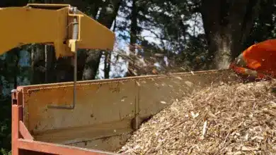 Mulch Is The Best Mulch For A Vegetable Garden