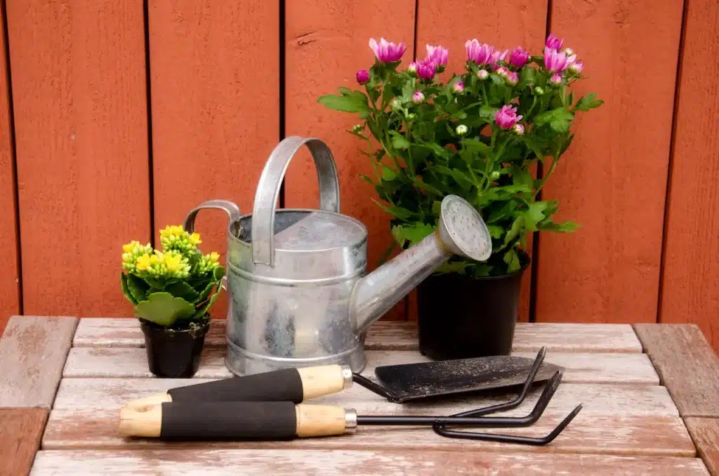 Gardening Tools on Wooden Background 