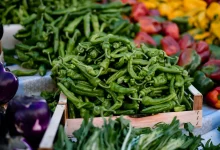 Methods to Overwinter Pepper Plants