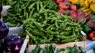 Methods to Overwinter Pepper Plants