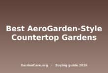 Best Countertop Garden Aerogarden Style — Best AeroGarden-Style Countertop Gardens