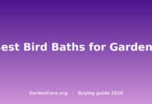 Best Bird Bath Garden — Best Bird Baths for Gardens
