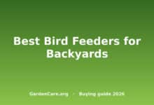 Best Bird Feeder Backyard — Best Bird Feeders for Backyards