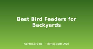Best Bird Feeder Backyard — Best Bird Feeders for Backyards
