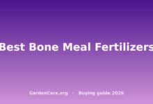 Best Bone Meal Fertilizers
