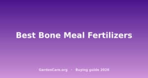 Best Bone Meal Fertilizers