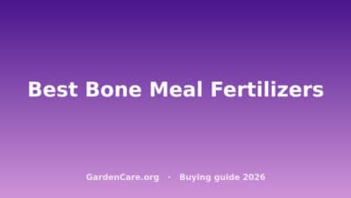 Best Bone Meal Fertilizers