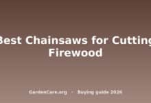 Chainsaw For Firewood — Best Chainsaws for Cutting Firewood
