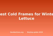 Cold Frame For Winter Lettuce — Best Cold Frames for Winter Lettuce