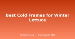 Cold Frame For Winter Lettuce — Best Cold Frames for Winter Lettuce