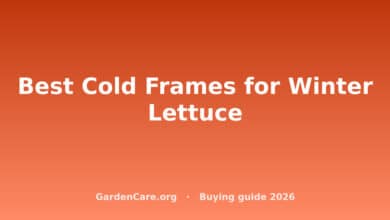 Cold Frame For Winter Lettuce — Best Cold Frames for Winter Lettuce