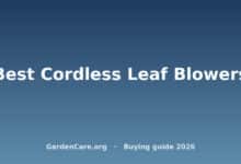 Best Cordless Leaf Blowers