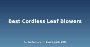 Best Cordless Leaf Blowers