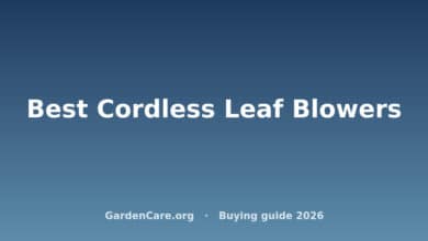 Best Cordless Leaf Blowers