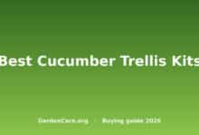 Best Cucumber Trellis Kits