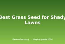 Best Grass Seed for Shady Lawns