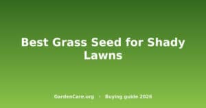 Best Grass Seed for Shady Lawns