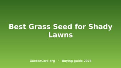 Best Grass Seed for Shady Lawns