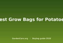 Best Grow Bags for Potatoes