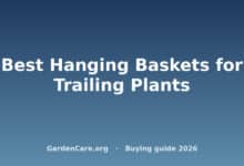 Hanging Basket Trailing Plants — Best Hanging Baskets for Trailing Plants