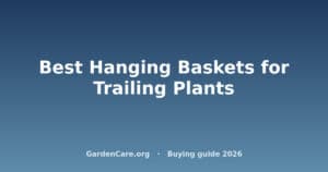Hanging Basket Trailing Plants — Best Hanging Baskets for Trailing Plants