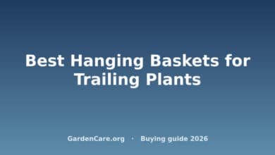 Hanging Basket Trailing Plants — Best Hanging Baskets for Trailing Plants