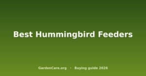 Best Hummingbird Feeders
