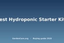 Best Hydroponic Starter Kits