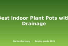 Indoor Plant Pot With Drainage — Best Indoor Plant Pots with Drainage