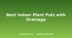 Indoor Plant Pot With Drainage — Best Indoor Plant Pots with Drainage