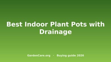 Indoor Plant Pot With Drainage — Best Indoor Plant Pots with Drainage