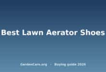 Best Lawn Aerator Shoes