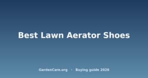 Best Lawn Aerator Shoes